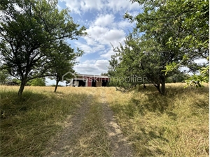 terrain à la vente -   72550  BRAINS SUR GEE, surface 7200 m2 vente terrain - UBI455855795
